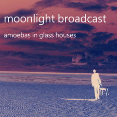 Amoebas in Glass Houses