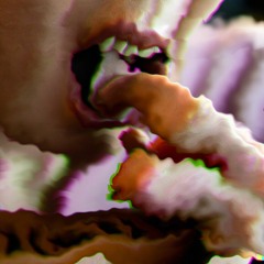 LUMINOUSNET