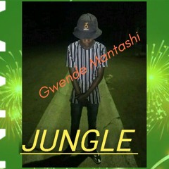 Jungle_-_Gwede_Mantashe.mp3