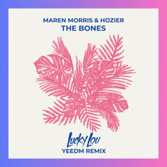 MAREN MORRIS & HOZIER - The Bones (Lucky Lou YEEDM Country Edit)