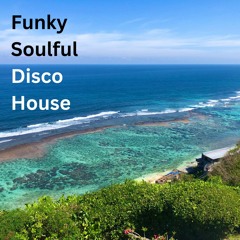 Funky, Soulful & Disco House Mix ( June 2023 )