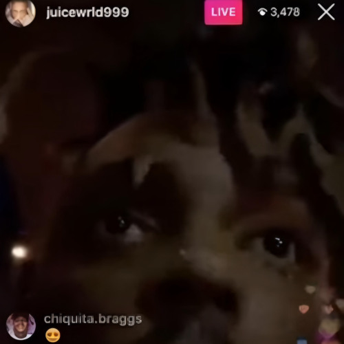 Perky Potter - Juice WRLD (Snippet)