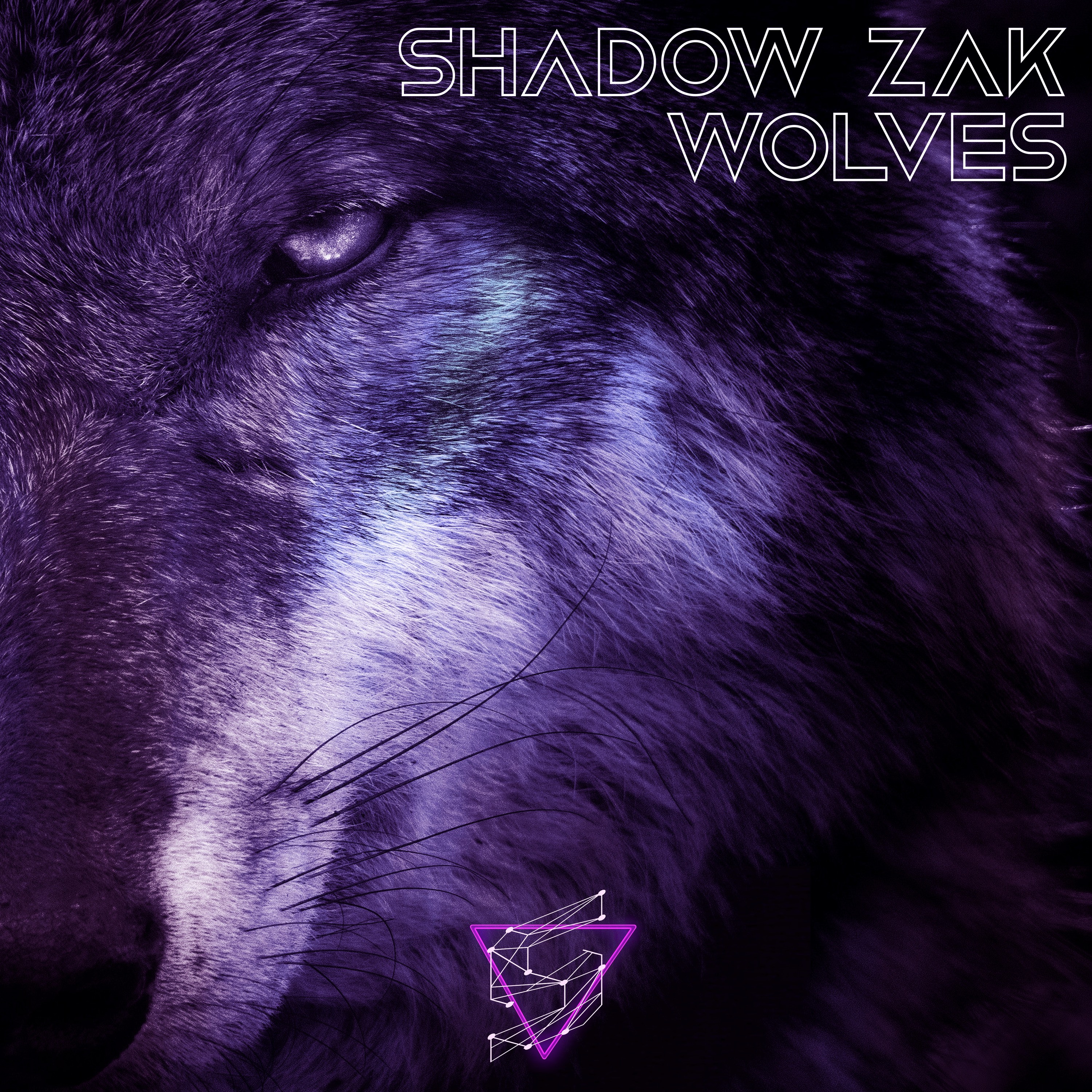 Track cover