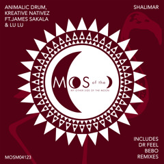 Shalimar (Original Mix) [feat. James Sakala & Lu Lu (ZM)]