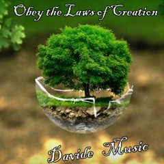 Obbedisci Alle Leggi Del Creato  ☼  Obey the laws of creation