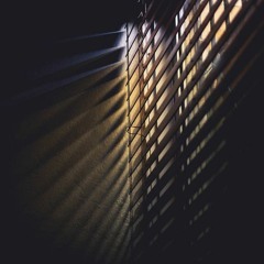 Window (Prod. Sedivi)