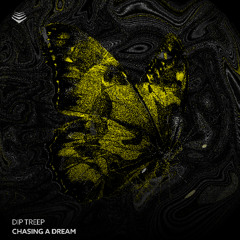 DIP TREEP - Chasing a Dream (Original Mix)