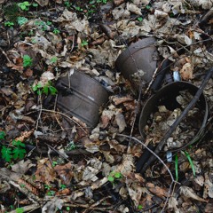 Wiegenlied für den Nachtmahr ALBUM - Snippets