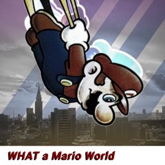 overworld (What a Mario World) Remix