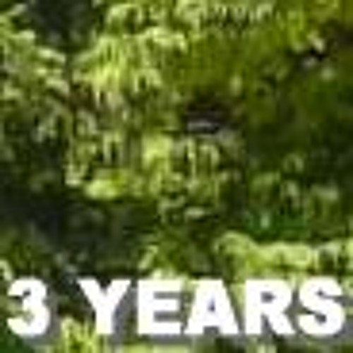 Three Years - 2009 Original Mix