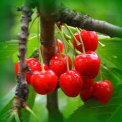 From Hotels , To Houses