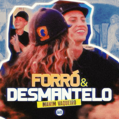 Forró E Desmantelo - Manin Vaqueiro (Flor Music Remix)