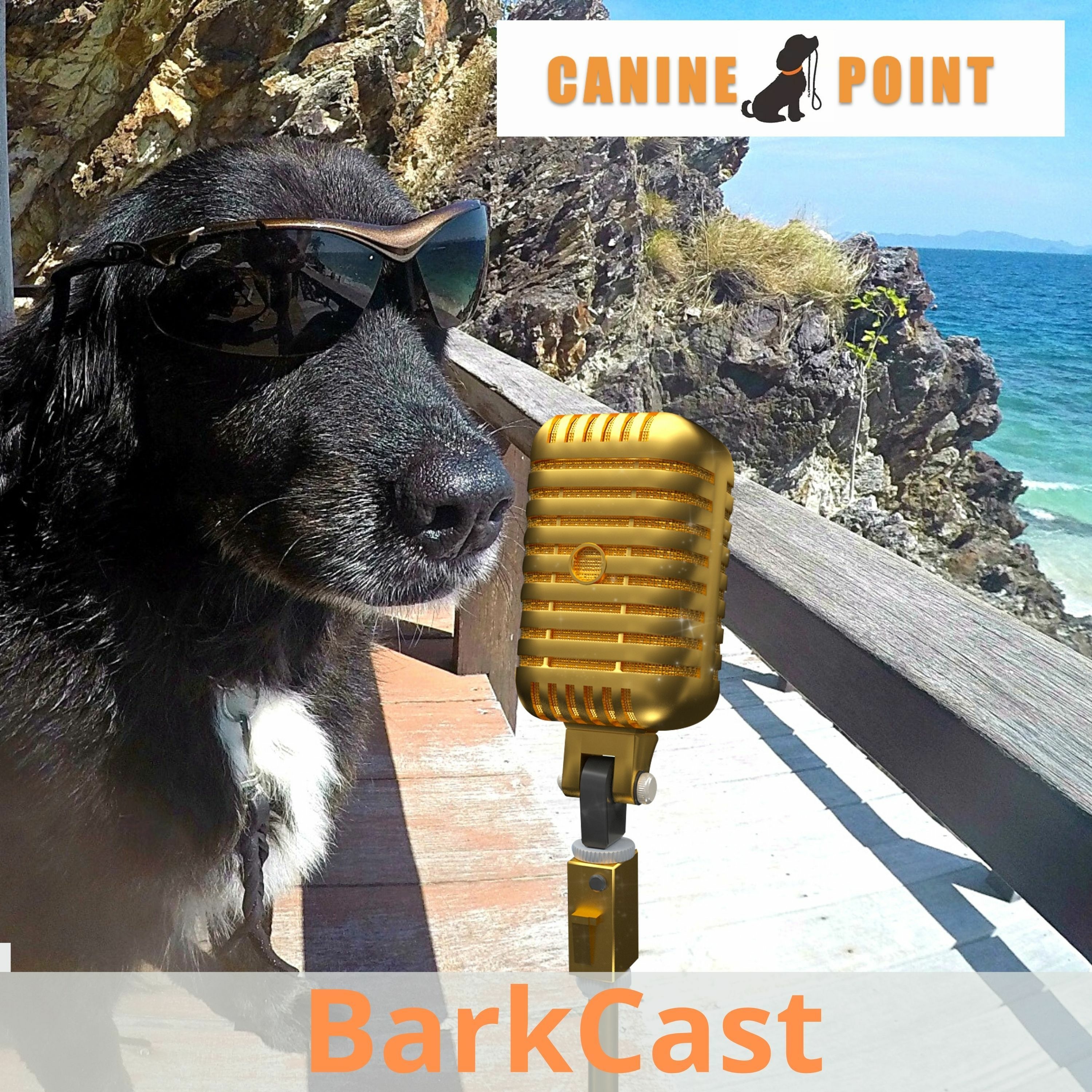 BarkCast