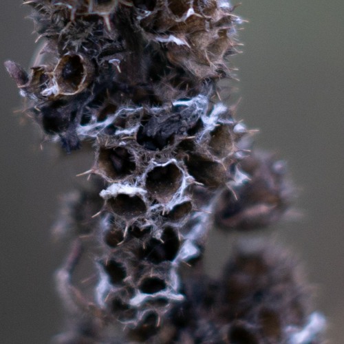 CODECAST X - CTAFAD - Drifting Particles