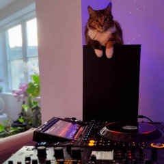 Kiellands Hage - Downtempo Liveset