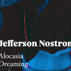 Alocasia Dreaming