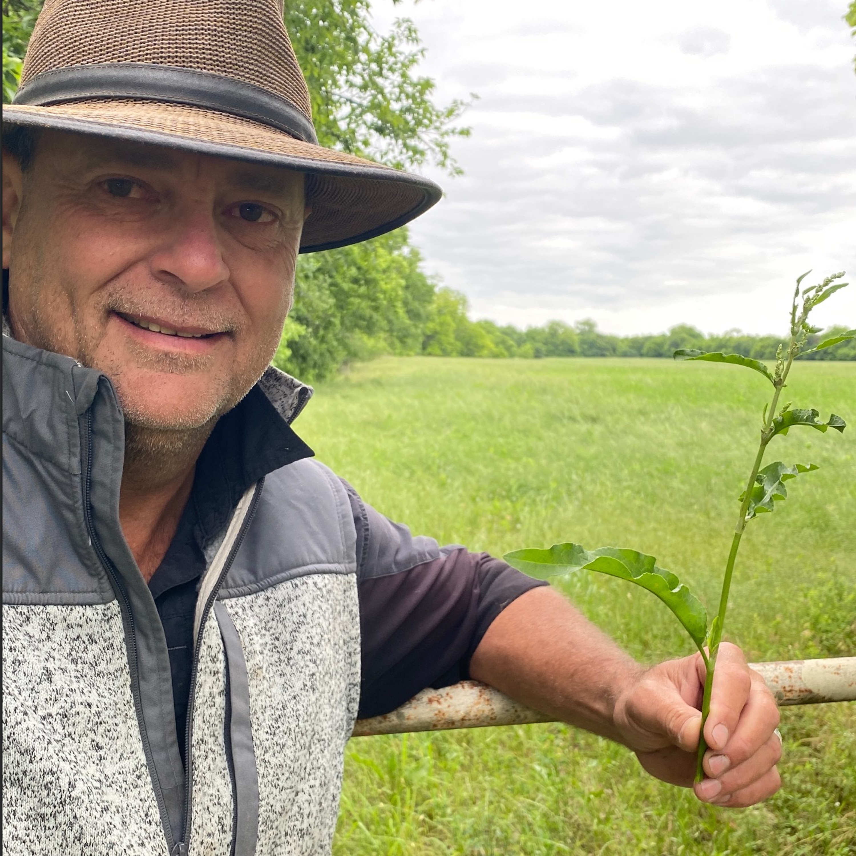 Dr. Dale on Quail