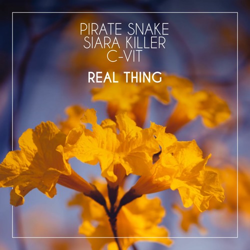 Pirate Snake, C - Vit & Siara Killer - Real Thing