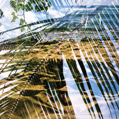 Interesting new discoveries