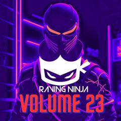 Raving Ninja Vol. 23 Fast Italo & Classic Makina