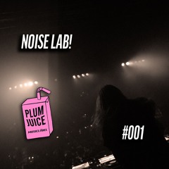 PLUM JUICE - NOISE LAB!