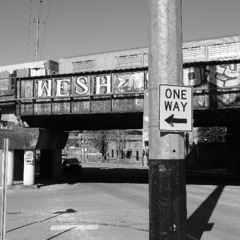 Gracie Hits Summer Again