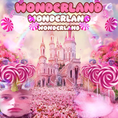 wonderland ft. fideleo (prod. me)