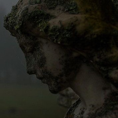 i know how it feels (p. niche)