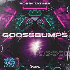 Robin Tayger - Goosebumps (ft. Young Jae)
