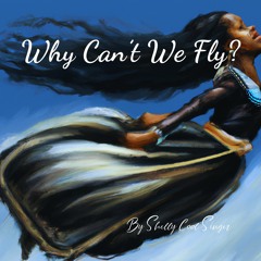 Why Can’t We Fly