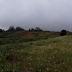 trenchbabyeli - don't lose meh [prod.xetastar]