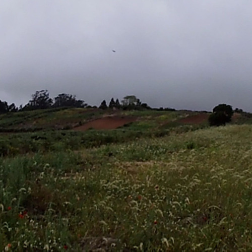 trenchbabyeli - don't lose meh [prod.xetastar]