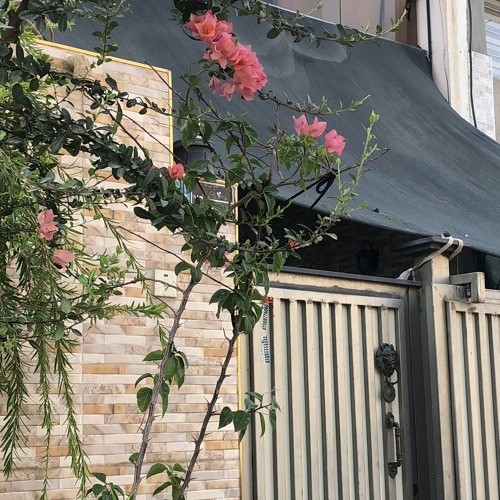 بالمُناسبة ترىٰ ، "أعلگ الدنيا شموع مِنْ تِدگ بابي"