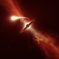 wasted time ft. YVRTANK (fcd)