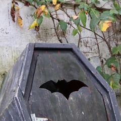 Casket
