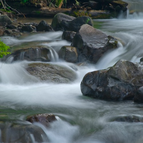 MX - River Flows