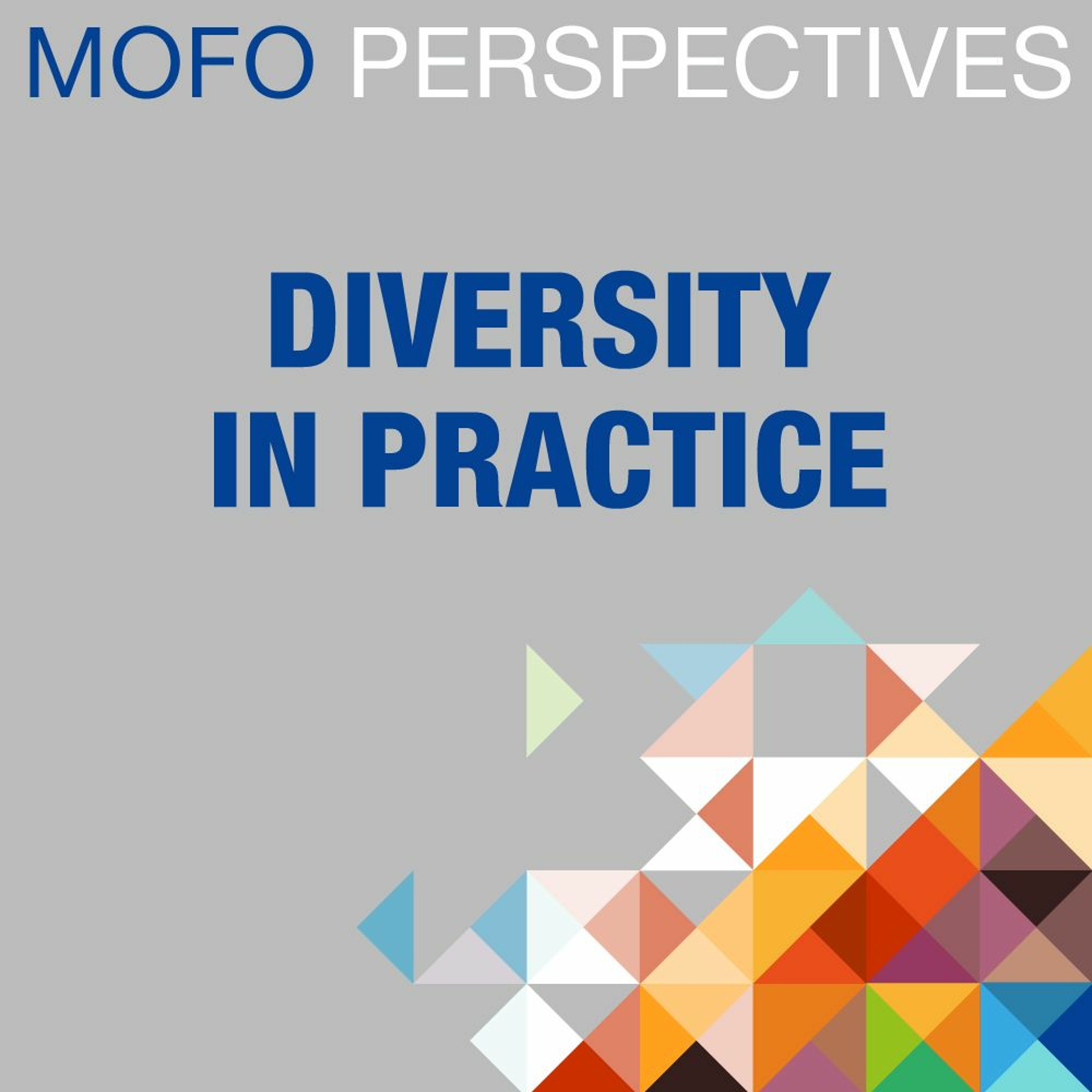 Diversity in Practice: Pro Bono Perspective – The Lee Monument Matter