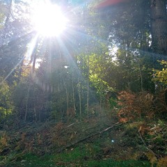 Bleh ft jshxwty (p.modico31)