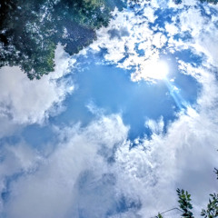 Soaring [Prod. TR4SHM3N]