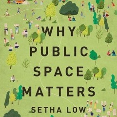Epub✔ Why Public Space Matters