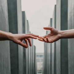 shelter