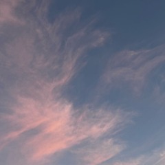 Come back to me prod.backyard