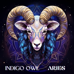 Indigo Owl - Aries