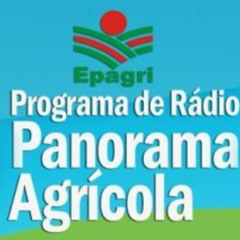 4 de julho - Cultivo protegido e suspenso na produção orgânica de hortaliça