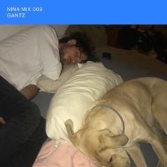 Nina Mix - 002 - gantz