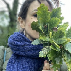 Umbellate (instrumental) NFerryman Version