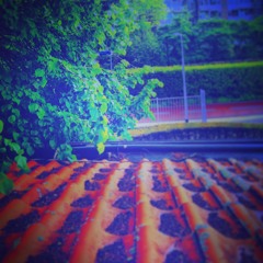 The Many Rooms Of The Tree House :: Electronic Chill-Out Set :: House / Techno / Trip-Hop / Misc.