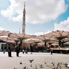 وَجَزَاهُم بِمَا صَبَرُوا جَنَّةً وَحَرِيرًا | طارق محمد