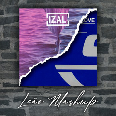 IZAL x XTM - La mujer de verde vs Fly on the Wings of Love (Leão Mashup)