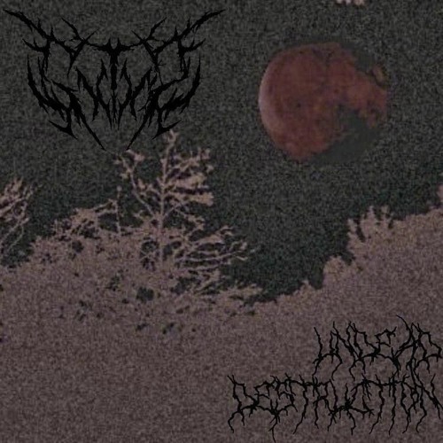 KRUSHIN KRANIUM (Prod. YETITURDS)